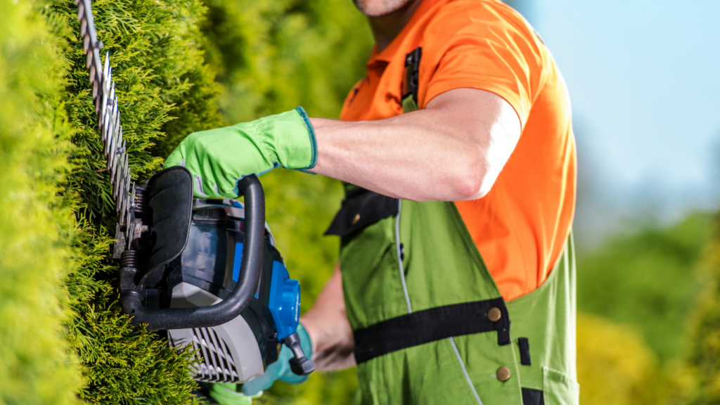 Entretien des espaces verts d une residence par GR TOP Services